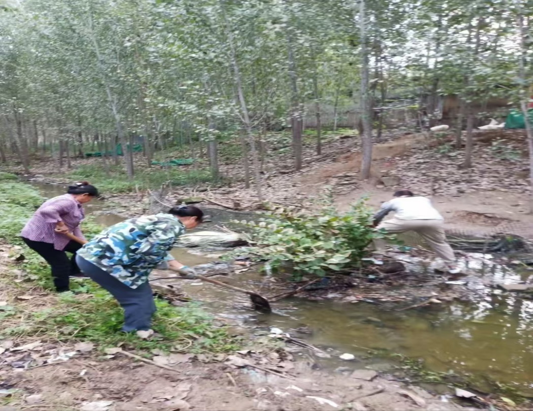 <strong>暑期“三下乡”社会实践（八）：携手共建美丽乡村</strong>